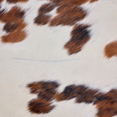 Bright Brown And White Cowhide Rug NOV26-190 (200cm x 180cm)