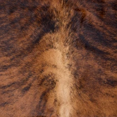 Sunburst Brown Brindle Cowhide Rug NOV26-242 (220cm x 190cm)