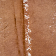Fawn And White Cowhide Rug NOV26-244 (200cm x 190cm)