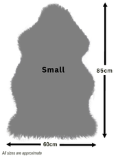 Taupe Single Sheepskin Rug - SINGLETAUPE