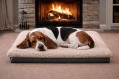 Oyster Short hair Sheepskin Pet Bed 