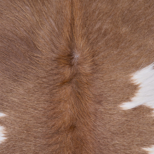 Cowhide Rug JAN25-016 (240cm x 200cm)