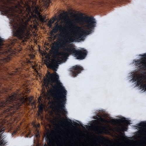 Cowhide Rug AUG26-002 (200cm x 160cm)