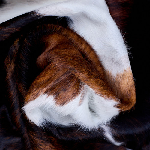 Cowhide Rug AUG26-004 (210cm x 180cm)