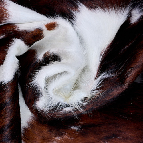 Cowhide Rug AUG26-054 (200cm x 170cm)