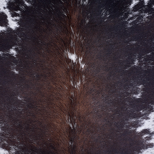 Cowhide Rug AUG26-157 (210cm x 200cm)