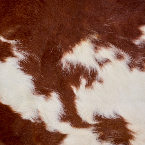 Textured Brown And White Cowhide Rug NOV26-001 (170cm x 160cm)