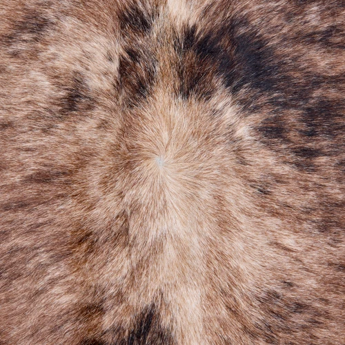 Brindle Brown And White Cowhide Rug NOV26-004 (220cm x 200cm)