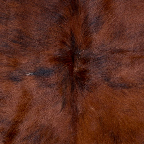 Brown And White Cowhide Rug NOV26-137 (170cm x 160cm)