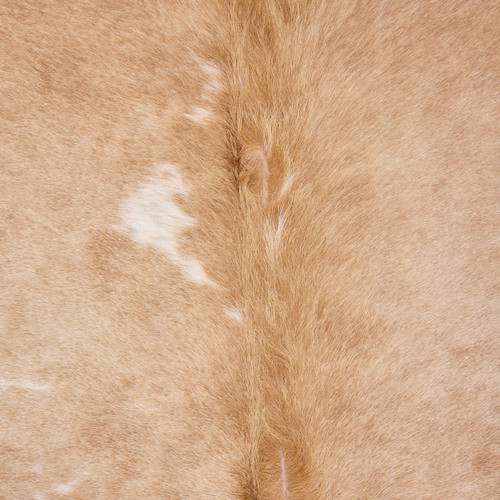 Beige And White Cowhide Rug NOV26-164 (240cm x 210cm)