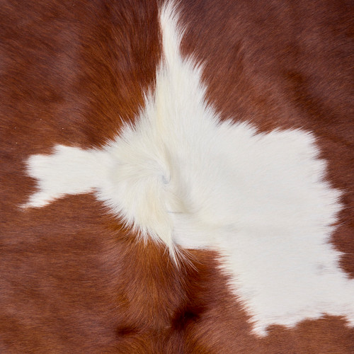 Bright Burst Of Brown And White Cowhide Rug NOV26-176 (220cm x 200cm)