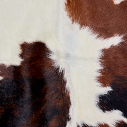 Spotted Brown Abd Cream Cowhide Rug NOV26-182 (220cm x 200cm)