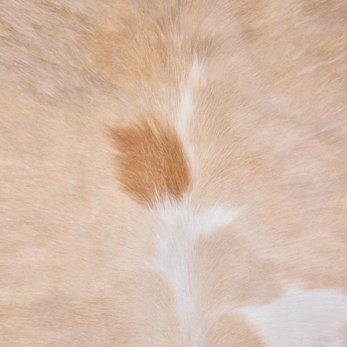 Beige And Cream Cowhide Rug NOV26-188 (220cm x 210cm)