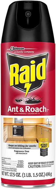 Raid Ant & Roach Spray 17.5oz - Fragrance Free