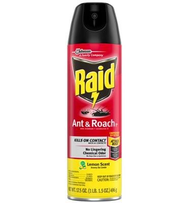 Raid Ant & Roach Spray 17.5oz - Lemon