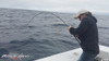 Black Hole Cape Cod Special SLOW PITCH Jigging Blank