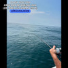 Black Hole Cape Cod TAI (Snapper) Special Rod - Ultra Light Conventional & Spinning