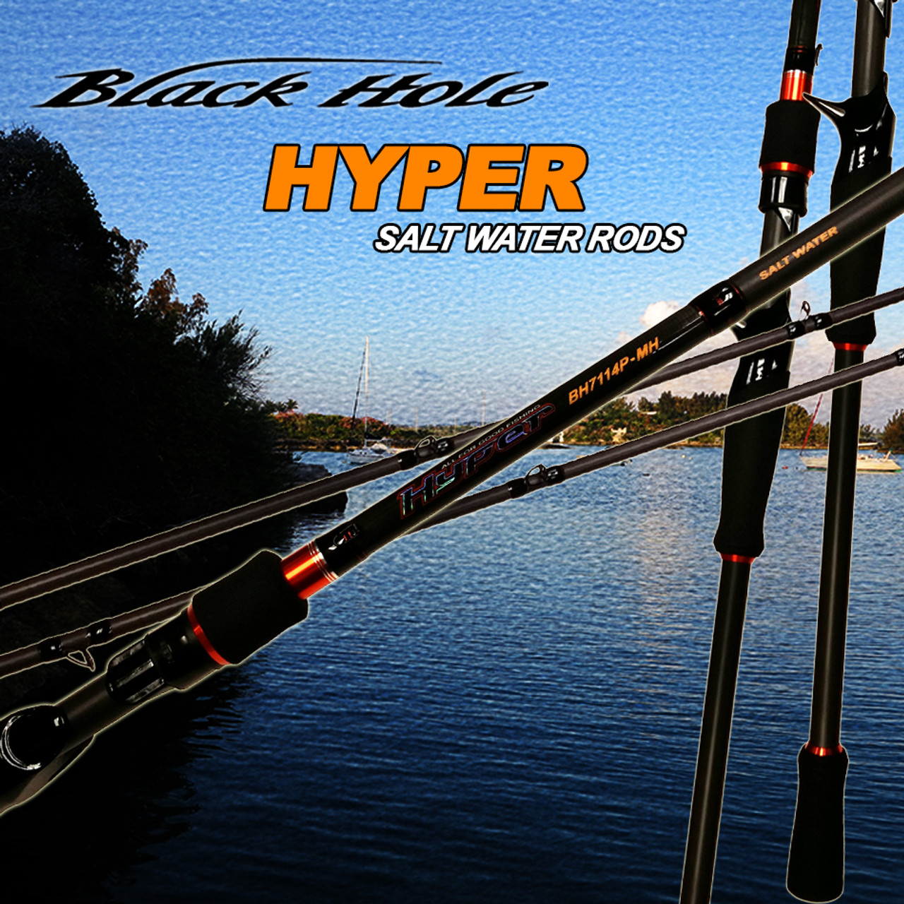 Black Hole Hyper Inshore Rod, Black Hole