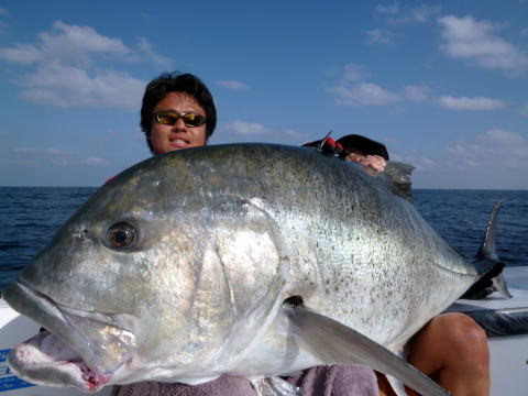 Carpenter KLL EP82/42R-Power I EXPORT Model Rod, Carpenter, KLL