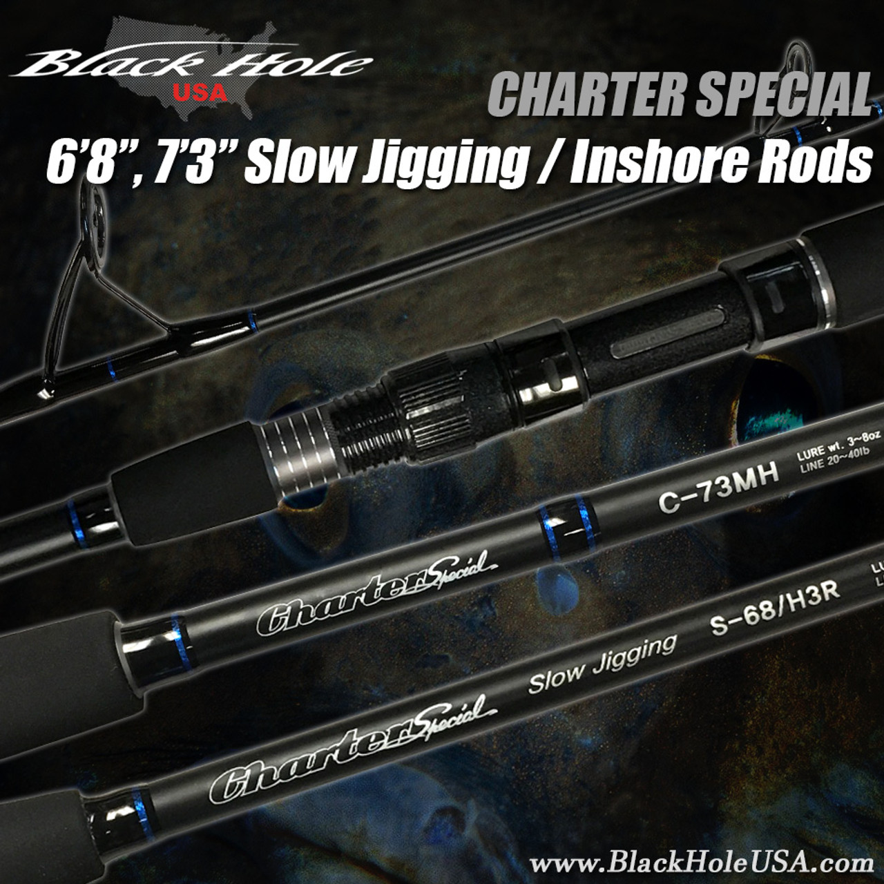 Black Hole Cape Cod Special Surf II Rod