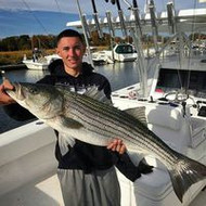 10/30/15: Striped Bass Report by John Contello!