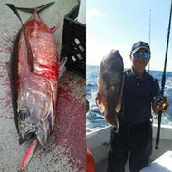 11/4/15: Another Tuna was landed with our Tog Rod! Black Hole Challenger Bank 761MH Rod.