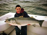 11/12/15: Over 20~30lb Striped Bass Fishing by John Contello!