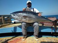 10/23/15: Tuna fishing in Egypt!