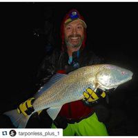 11/3/15: Redfish report!! From Florida!