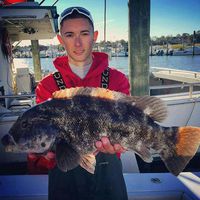 10/20/15: 10lb Blackfish landed on Black Hole Challenger Bank C-731M Rod!