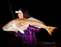 10/14/15: Nice Drum landed by Lyd with Black Hole Cape Cod Special 10'6" Nano LIGHT Surf Rod!