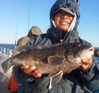 11/6/15: Blackfishing Report in RI!