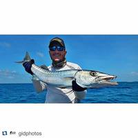 11/4/15: Barracuda Popping!