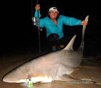 10/28/15: Shark Action!! By Lyd Basnite!