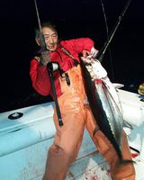 10/26/15: Tuna Report from Canyon by Kil Song!