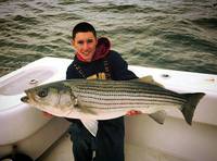 11/12/15: Over 20~30lb Striped Bass Fishing by John Contello!
