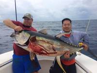 11/11/15: Yellowfin Tuna Report from Venice Trip!