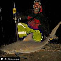 11/20/15: Surf Fishing Report - Bull Shark!