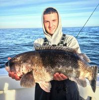 12/3/15: 11.5lb Blackfish with Black Hole Challenger Bank 731M Rod!