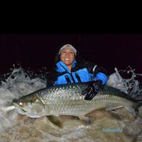 11/30/15: Silverking & Tarpon!! Surf Fishing Report from Florida!