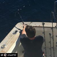 10/29/15: Bigeye Tuna Report by Chad! 