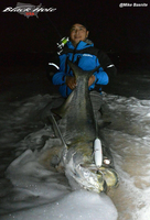 12/21/15: Monster Tarpon again by Mike Basnite! 