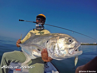 12/8/15: Super Light Black Hole Cape Cod Tai Special Rod in Action from Mexico!