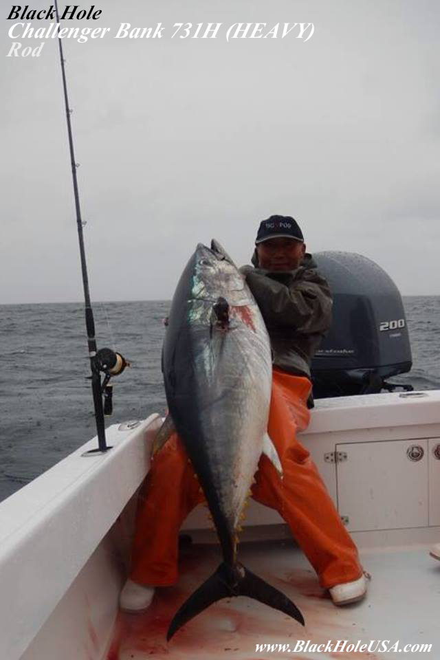 Red Snapper Fishing in Florida! Black Hole USA Challenger Bank 731H Rod by  #BlackHoleUSAProStaff Capt. Dan @mr_tunaman