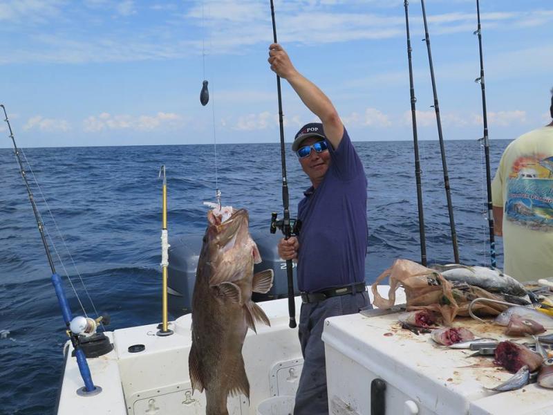 Red Snapper Fishing in Florida! Black Hole USA Challenger Bank 731H Rod by  #BlackHoleUSAProStaff Capt. Dan @mr_tunaman