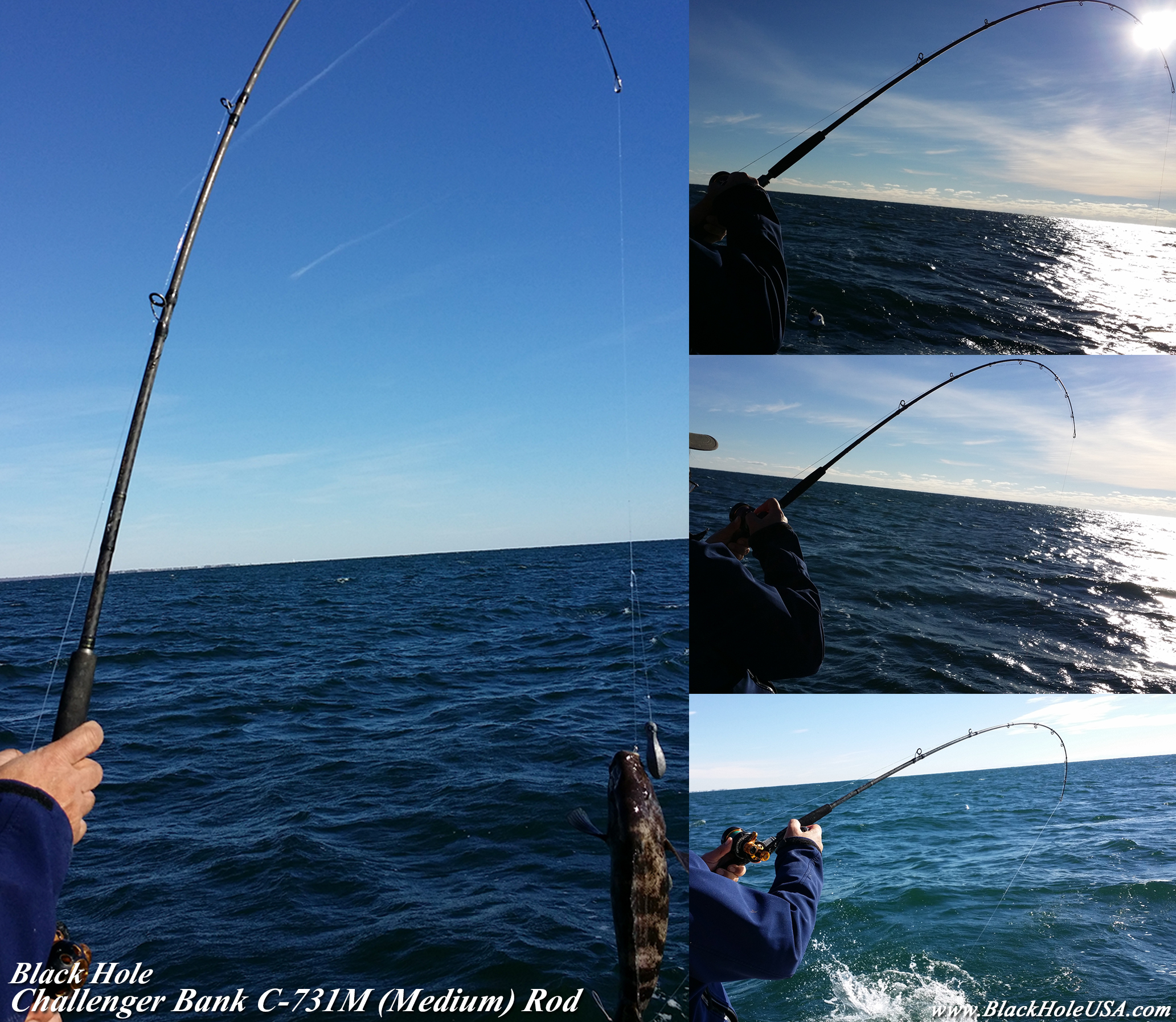 Red Snapper Fishing in Florida! Black Hole USA Challenger Bank 731H Rod by  #BlackHoleUSAProStaff Capt. Dan @mr_tunaman