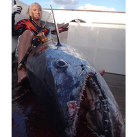 107kg (236lb) Dogtooth Tuna! (July 2012)