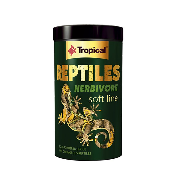 Tropical Reptiles Herbivore