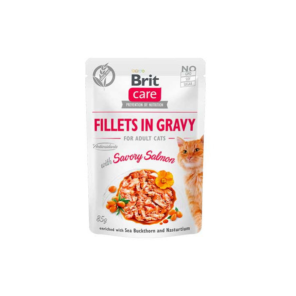 Brit Care Fillets In Gravy With Savory Salmon