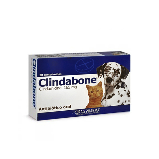 Clindabone Antibiotico para Perro y Gatos